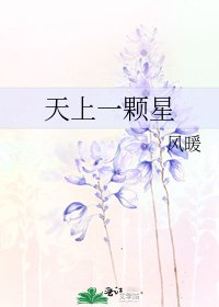 天上一颗星