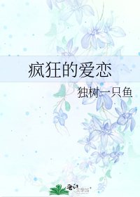疯狂的爱恋